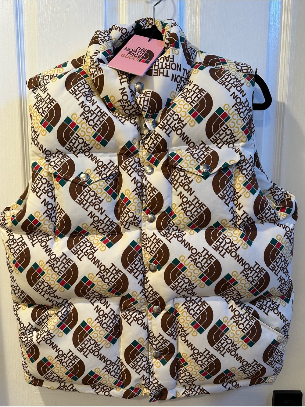 Northface x Gucci collaboration Puffer Vest
